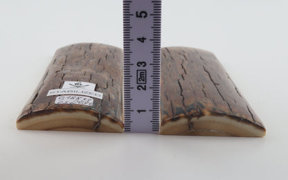Stabilized mammoth bark scales