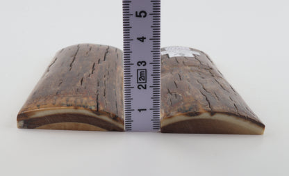 Stabilized mammoth bark scales