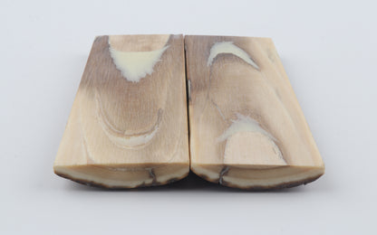 Stabilized mammoth bark scales