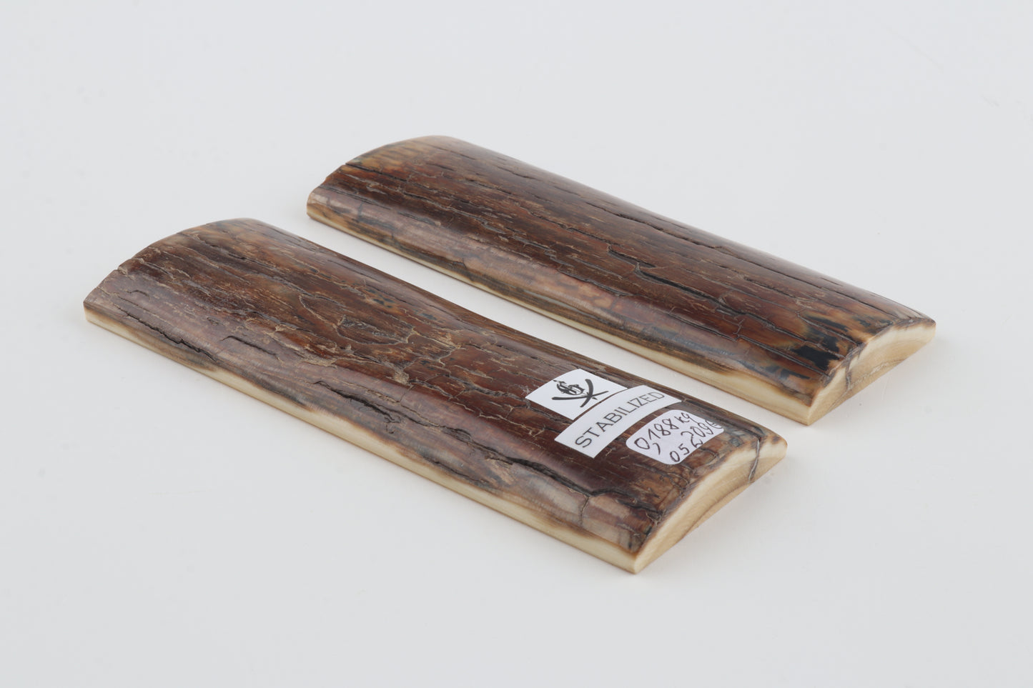 Stabilized mammoth bark scales