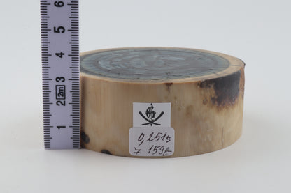 Stabilized mammoth ivory piece
