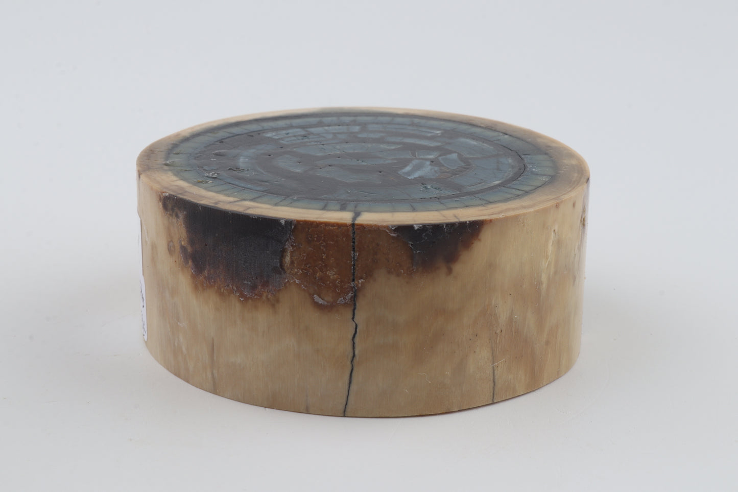 Stabilized mammoth ivory piece