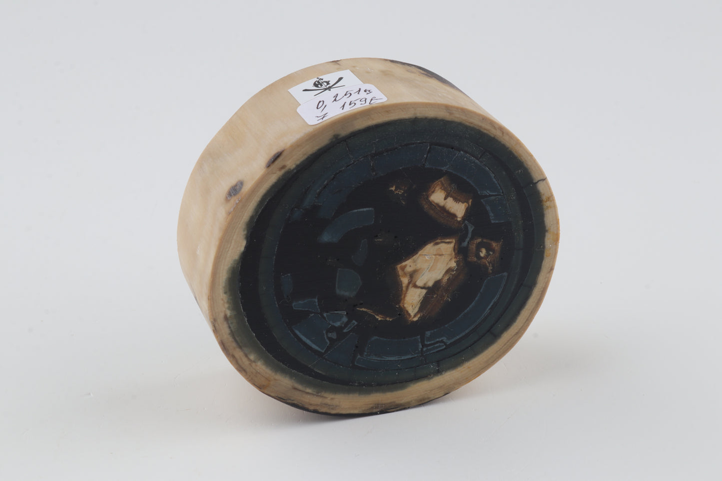 Stabilized mammoth ivory piece