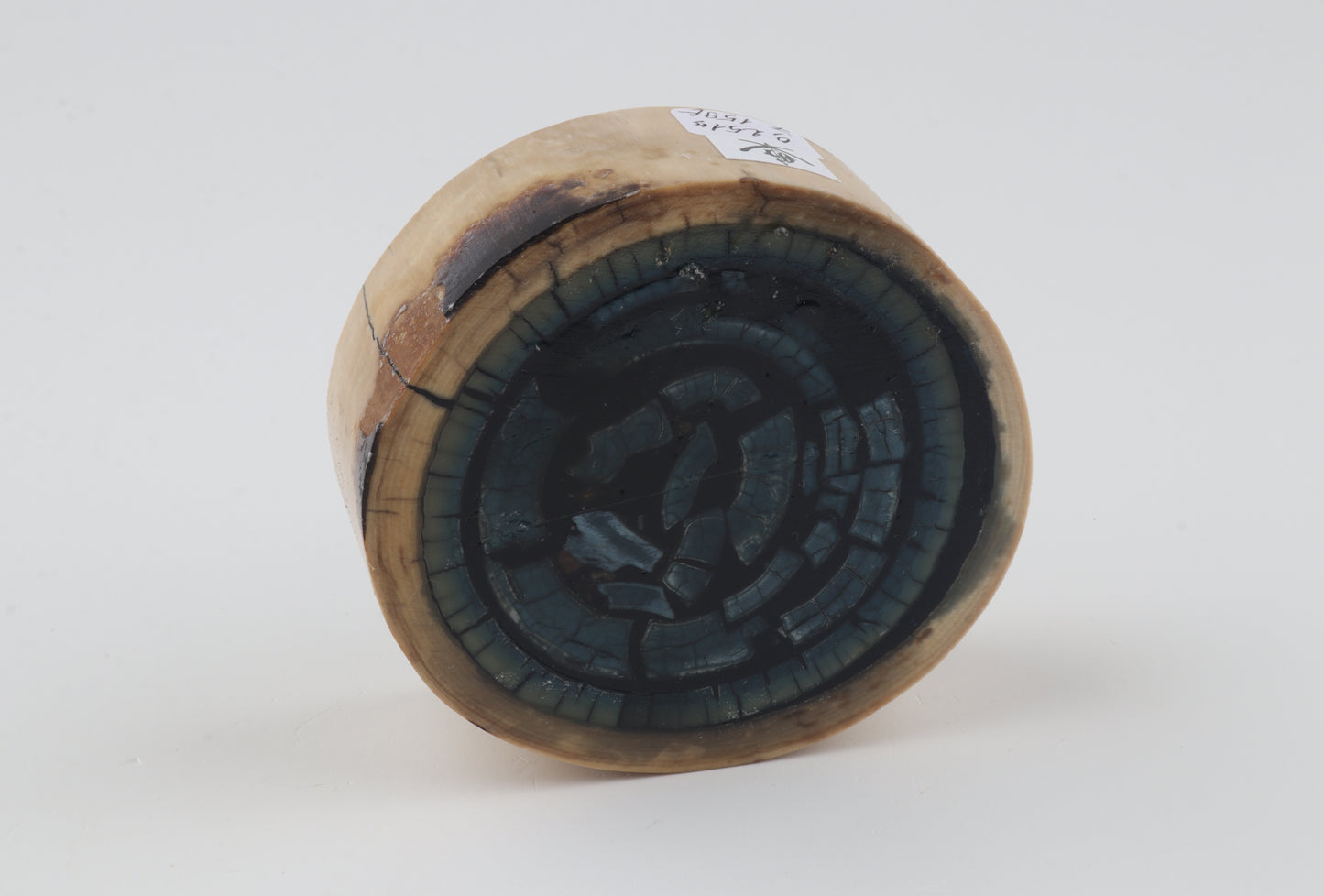 Stabilized mammoth ivory piece