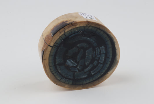 Stabilized mammoth ivory piece