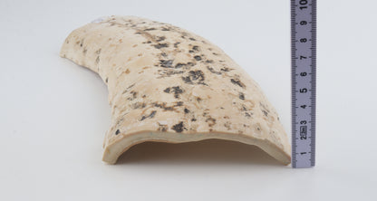 Creme mammoth bark