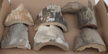 Raw mammoth ivory pieces