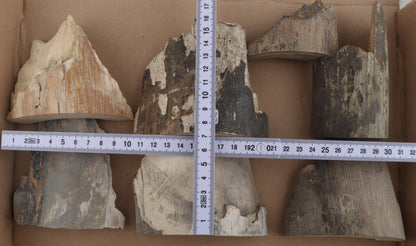 Raw mammoth ivory pieces