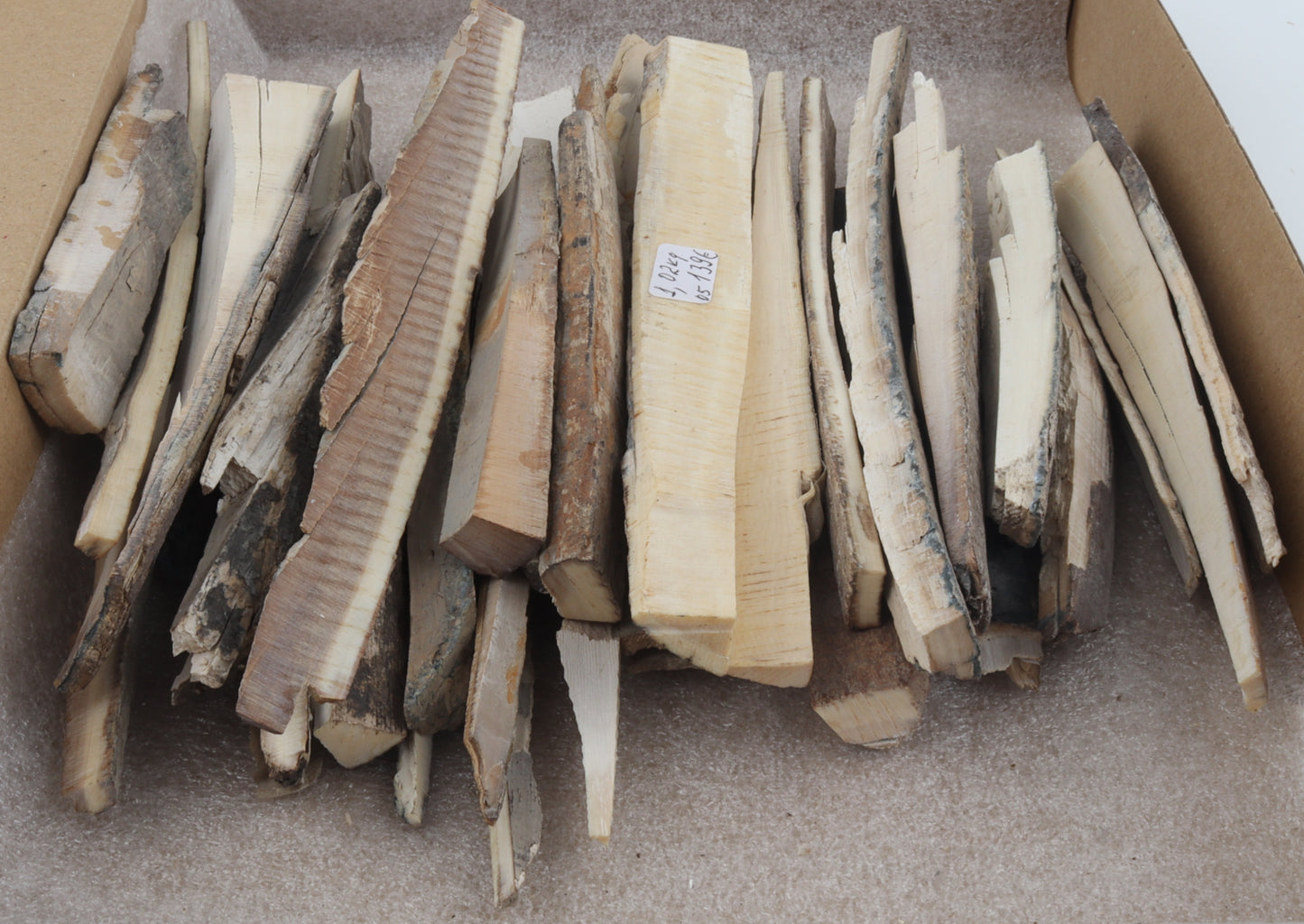 Raw mammoth ivory offcuts