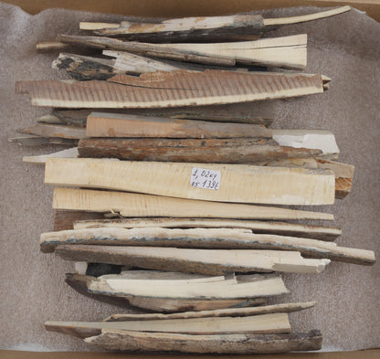 Raw mammoth ivory offcuts