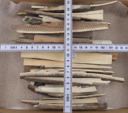 Raw mammoth ivory offcuts