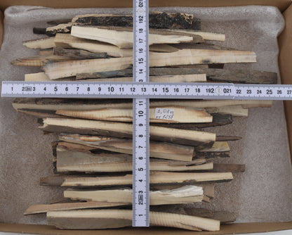 Raw mammoth ivory offcuts