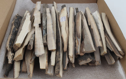 Raw mammoth ivory offcuts