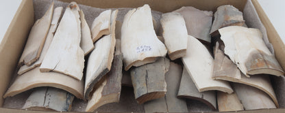 Raw mammoth ivory offcuts