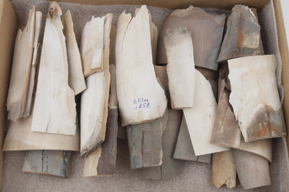Raw mammoth ivory offcuts