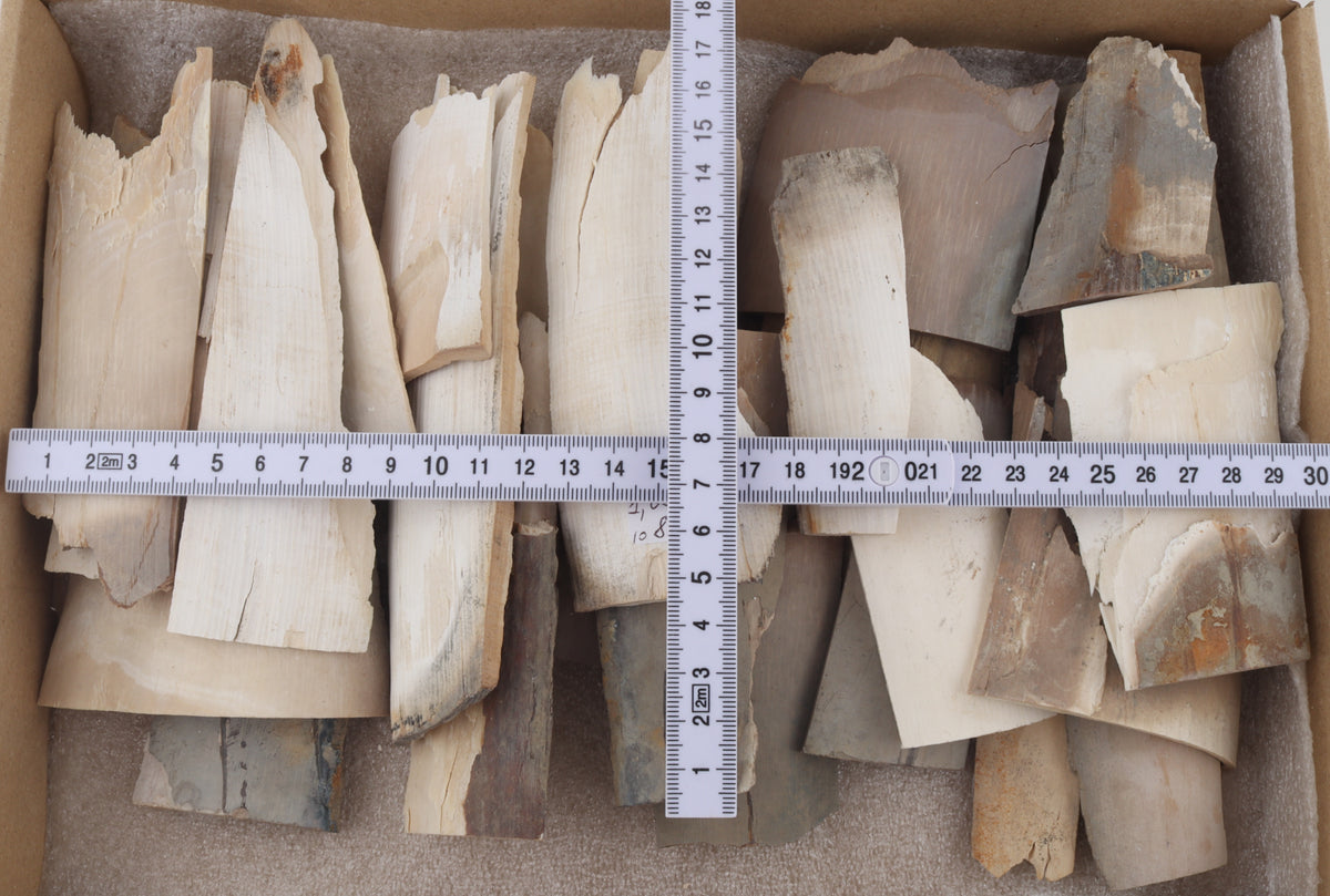 Raw mammoth ivory offcuts