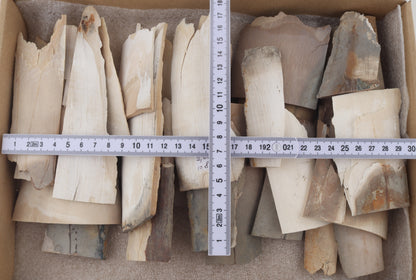 Raw mammoth ivory offcuts