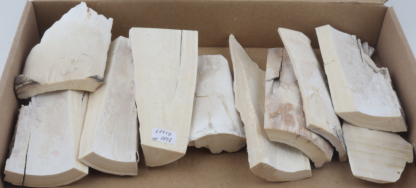 Raw mammoth ivory pieces