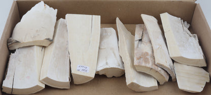 Raw mammoth ivory pieces