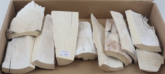 Raw mammoth ivory pieces