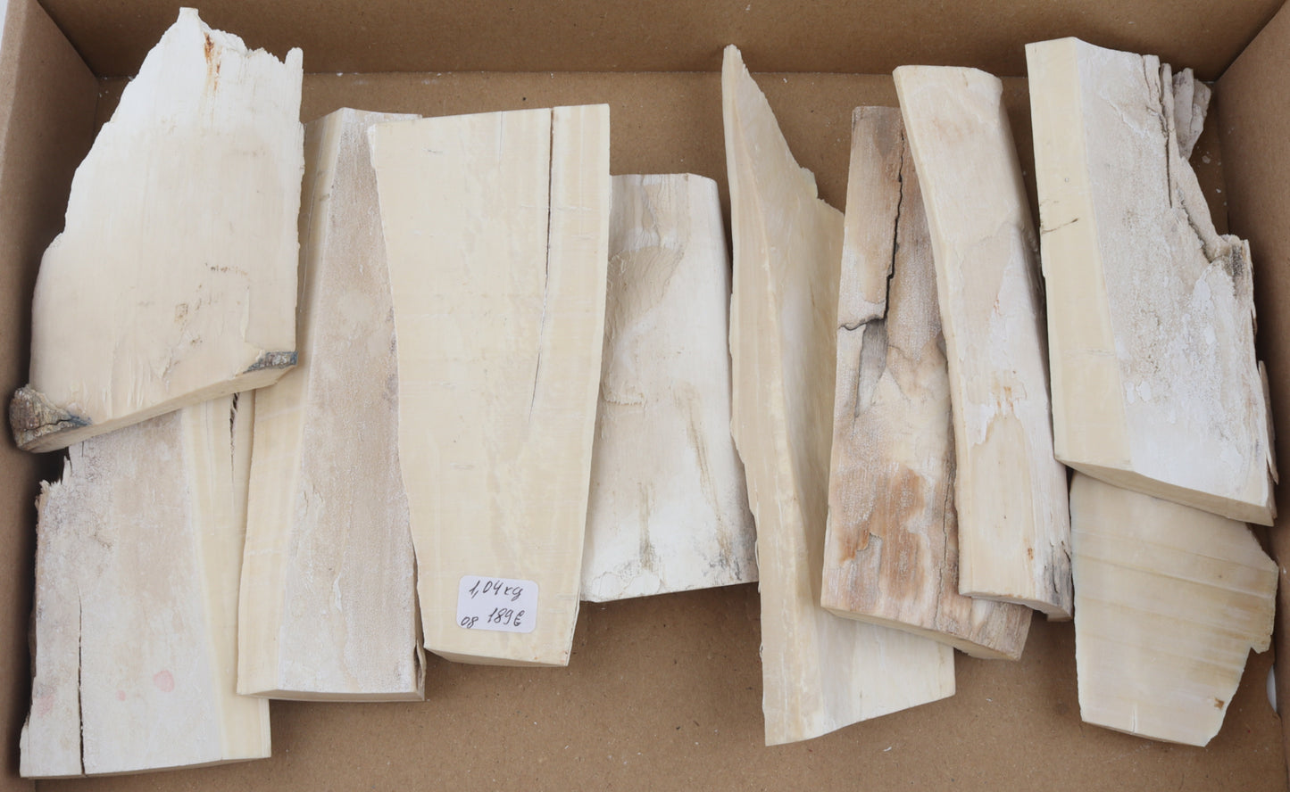 Raw mammoth ivory pieces