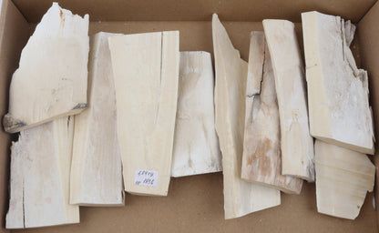 Raw mammoth ivory pieces