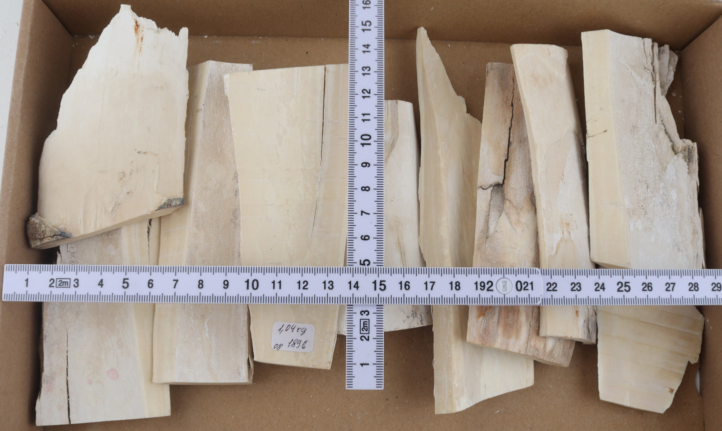Raw mammoth ivory pieces