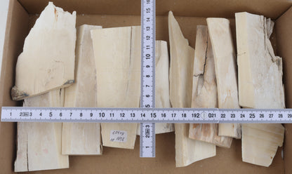 Raw mammoth ivory pieces