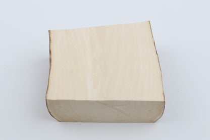 White mammoth ivory segment