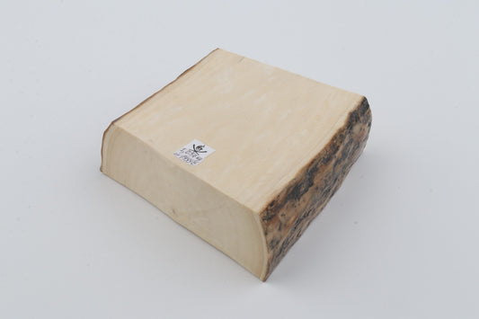 White mammoth ivory segment