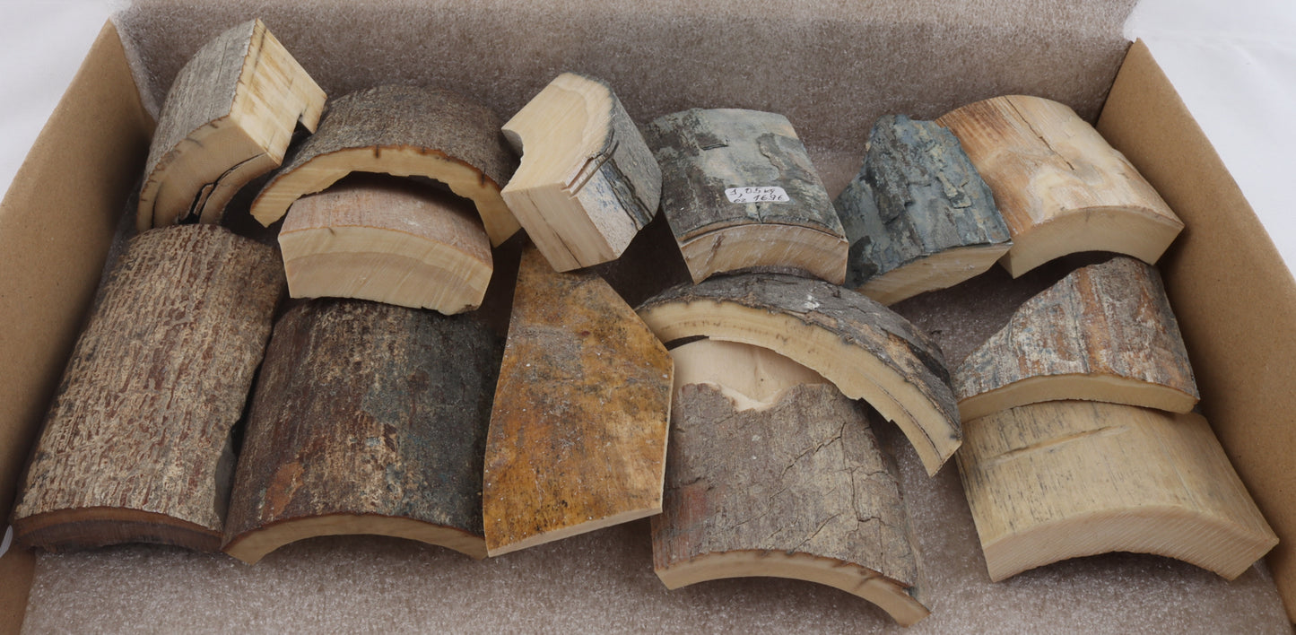 Untreated mammoth bark pieces