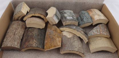 Untreated mammoth bark pieces