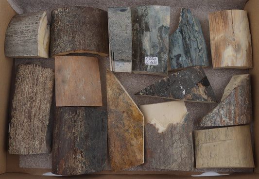 Untreated mammoth bark pieces