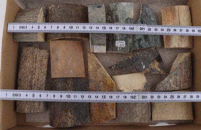 Untreated mammoth bark pieces