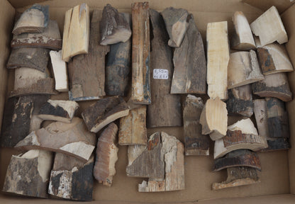 Raw mammoth ivory pieces