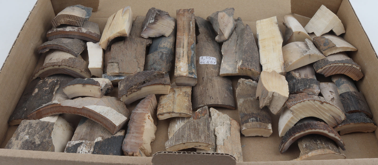 Raw mammoth ivory pieces