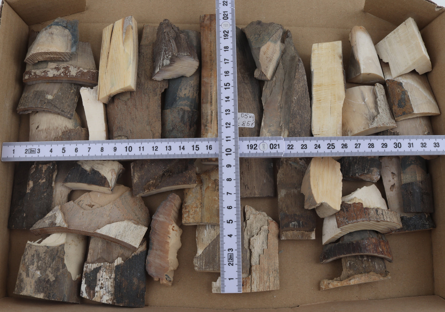 Raw mammoth ivory pieces