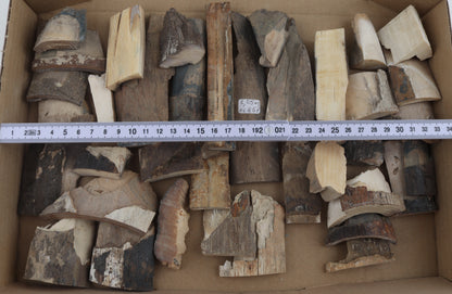Raw mammoth ivory pieces