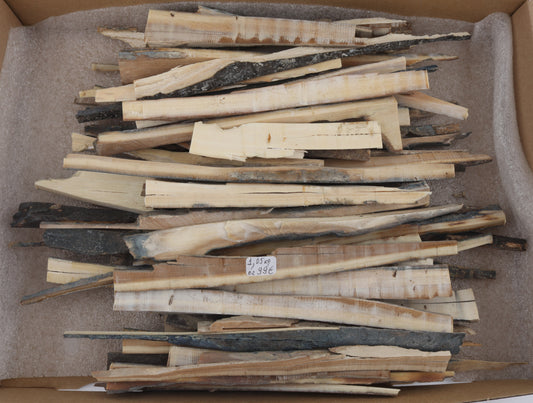 Raw mammoth ivory offcuts