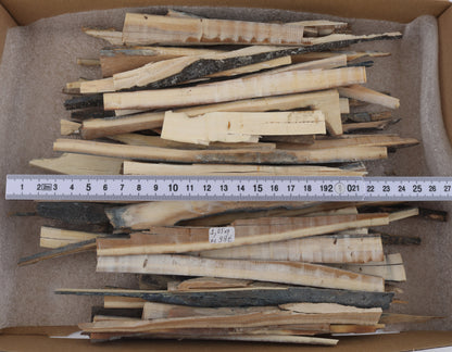 Raw mammoth ivory offcuts