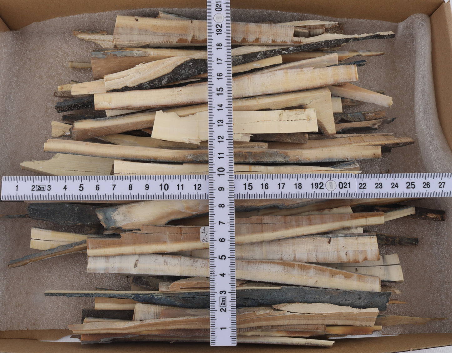 Raw mammoth ivory offcuts