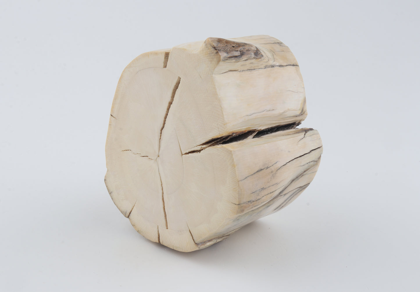 Natural mammoth tusk piece