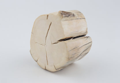 Natural mammoth tusk piece