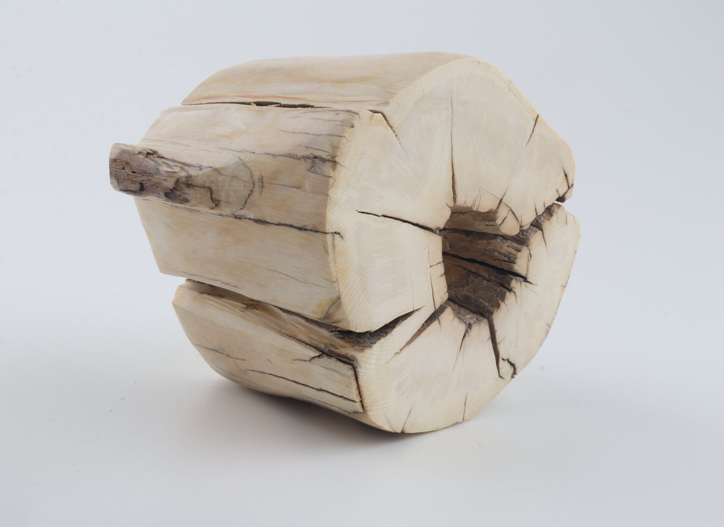 Natural mammoth tusk piece