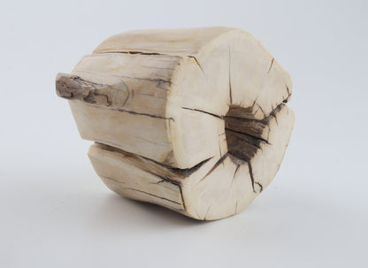 Natural mammoth tusk piece