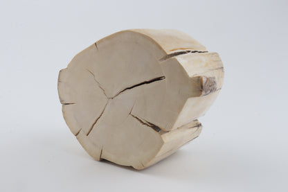 Natural mammoth tusk piece