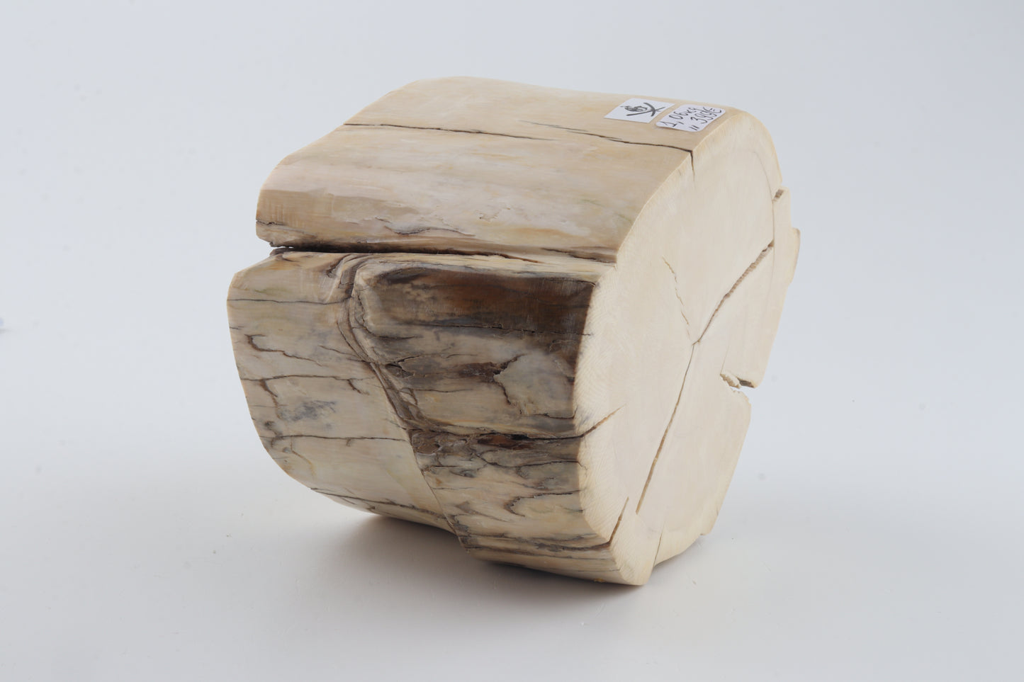 Natural mammoth tusk piece