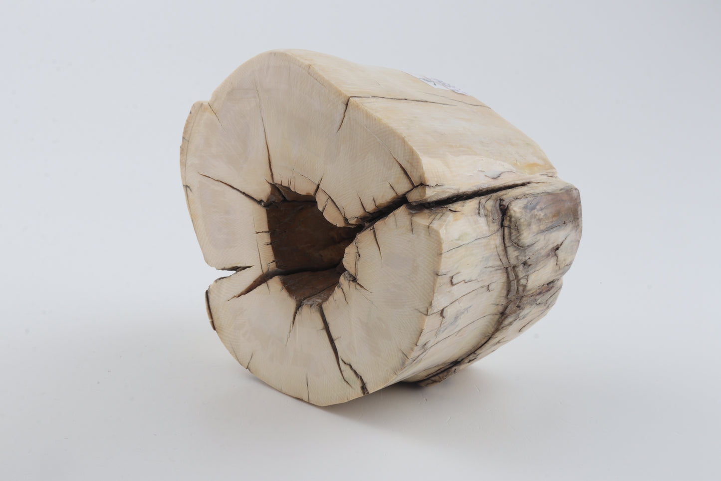 Natural mammoth tusk piece