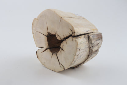 Natural mammoth tusk piece