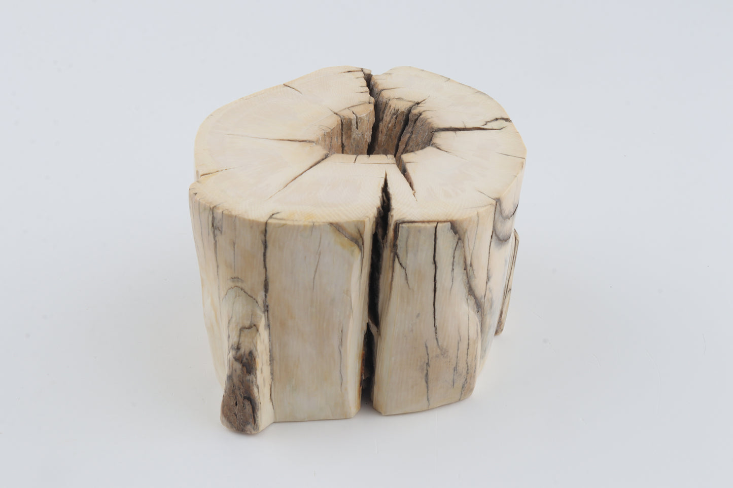 Natural mammoth tusk piece